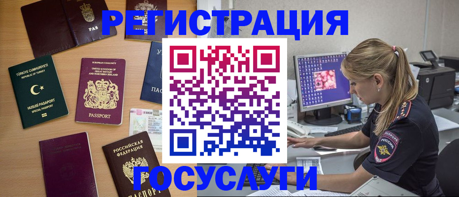 прописка для школы в Купино